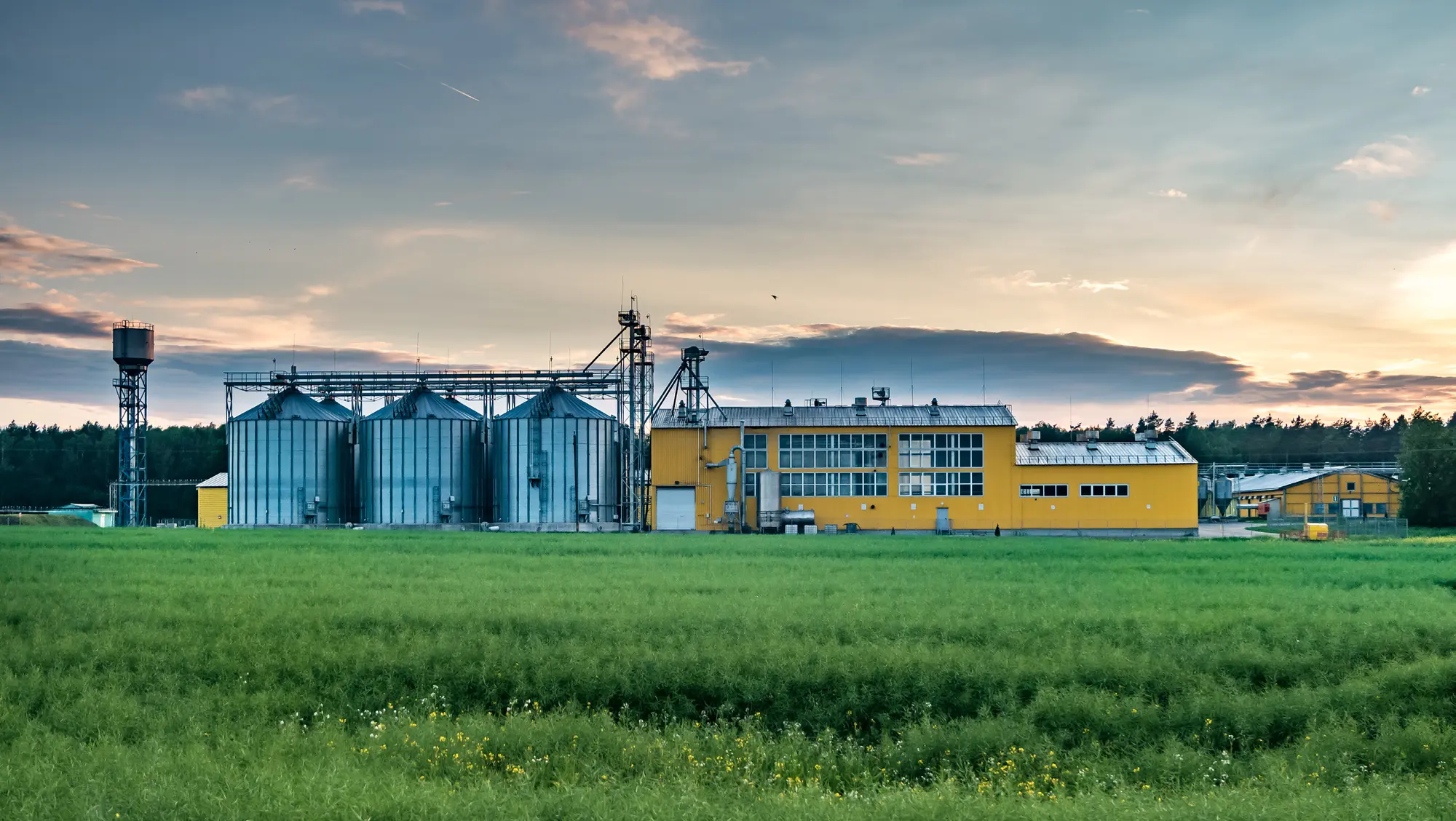 African agriculture connected to industrial demand