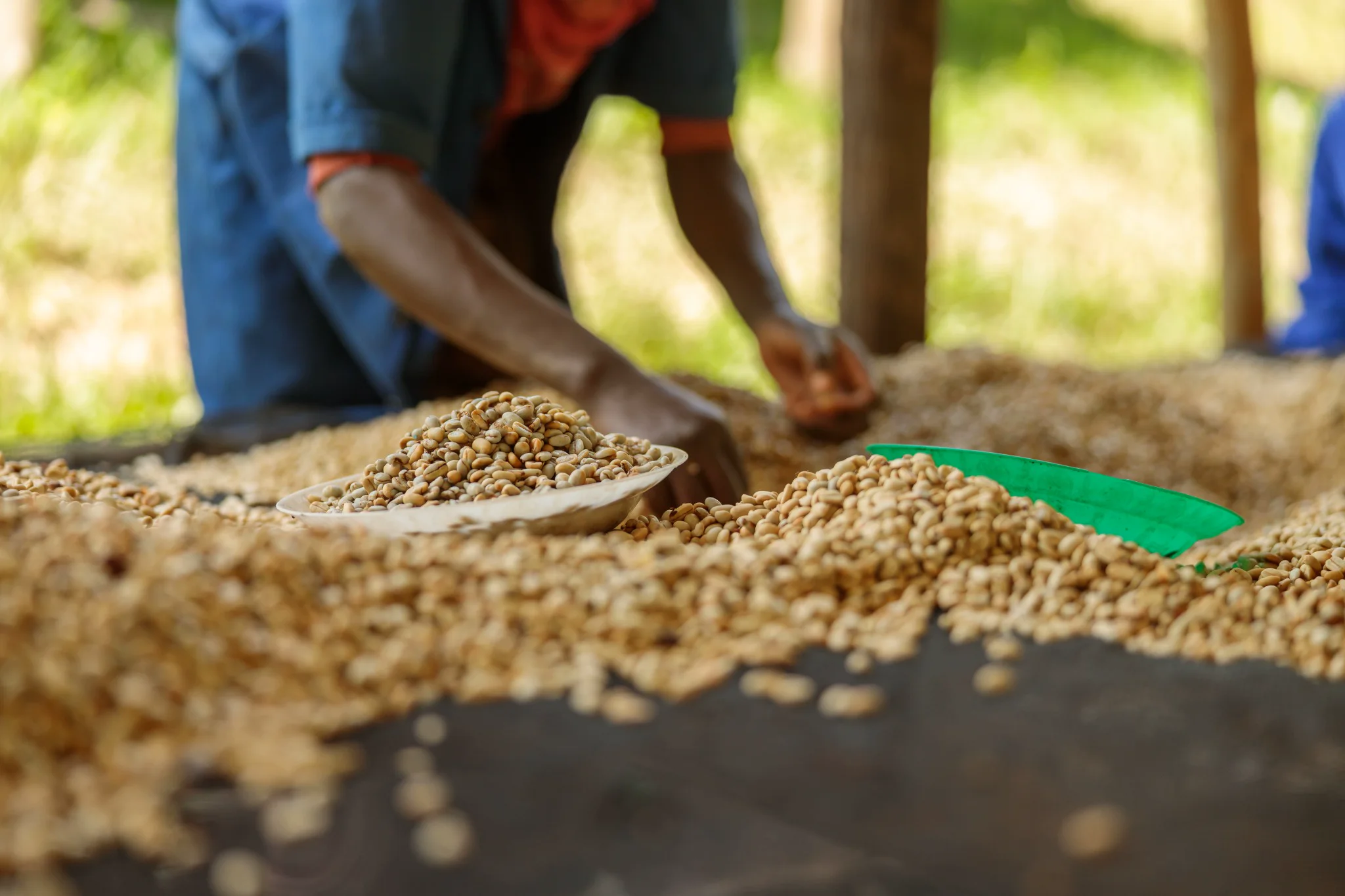 Agro-commodity quality inspection and sorting
