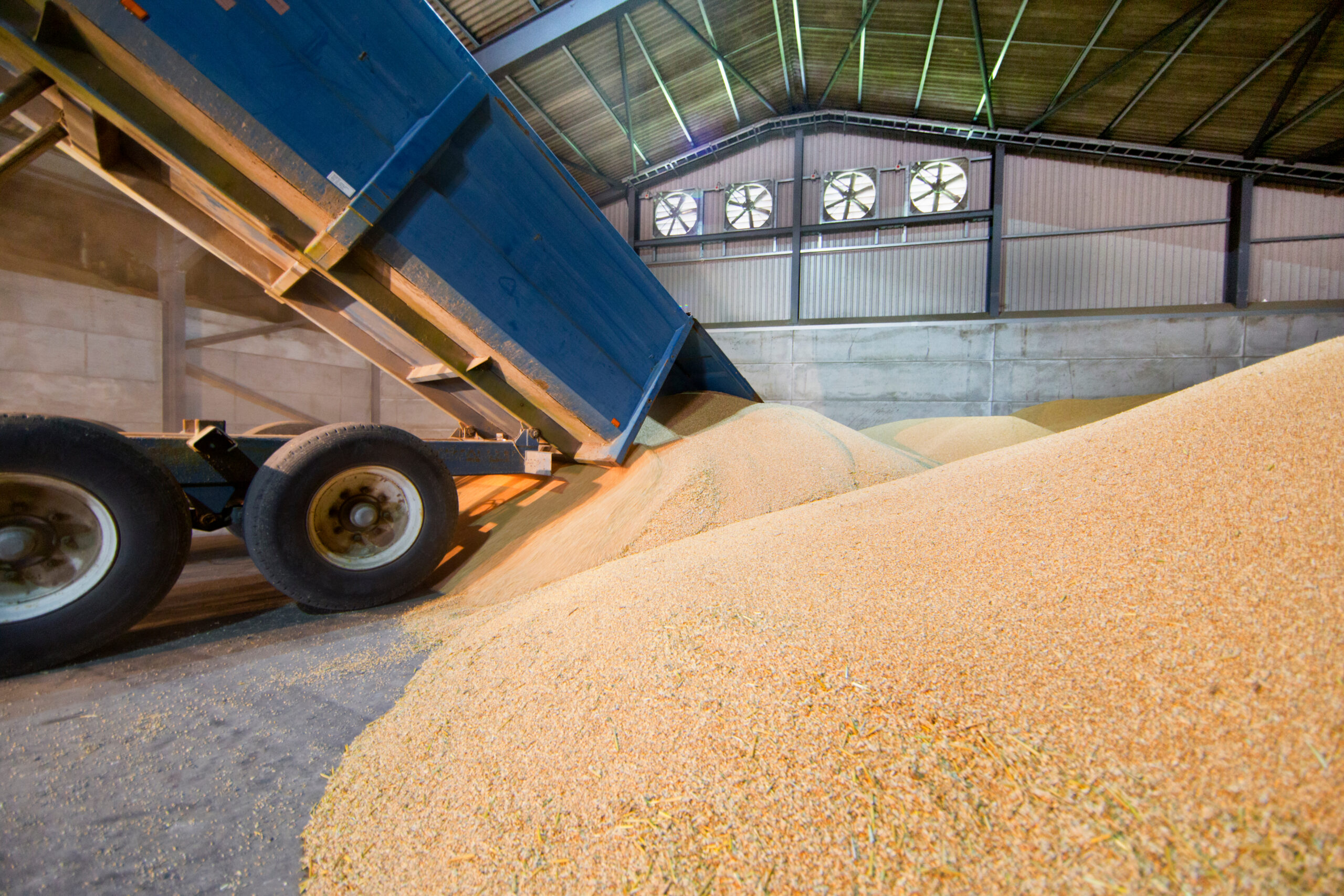 Agro-Commodity Trade